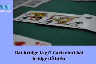 Bài bridge là gì? Cách chơi bài bridge dễ hiểu cho tân thủ